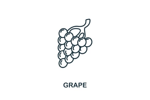 Grape Icon from Fruits Collection: A Versatile Design Asset for Real-World Use