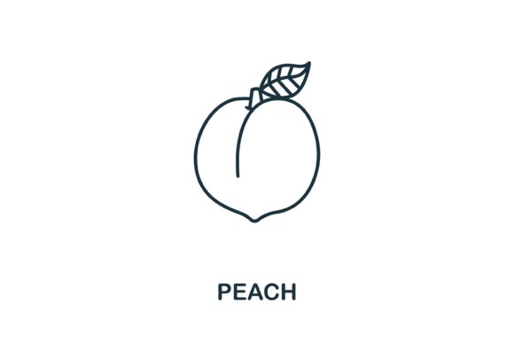 Peach Icon from Fruits Collection