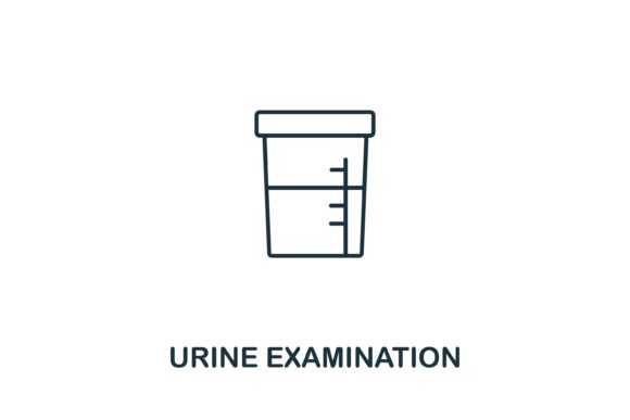 Urine Examination: A Practical Guide for Workflow Integration and Visual Representation
